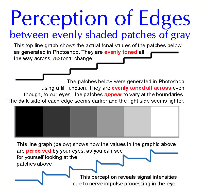 Edge Perception between areas of tone