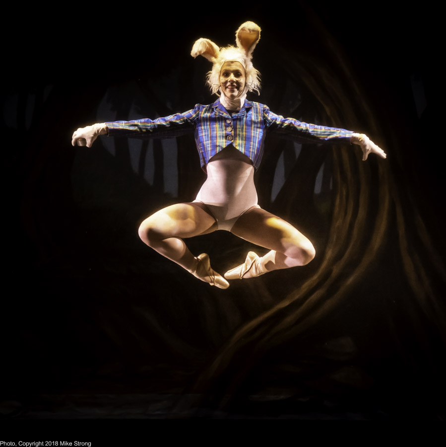 Julia Harshbarger as the White Rabbit - Alice in Wonderland - dress No 2 (Fri)